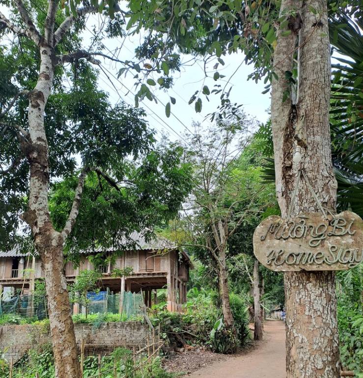 Chambre privée  Phong Phú