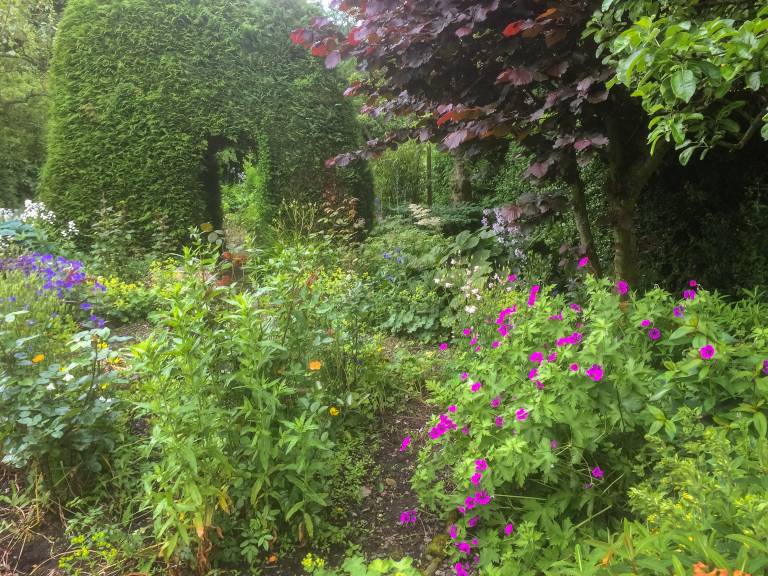 foto18