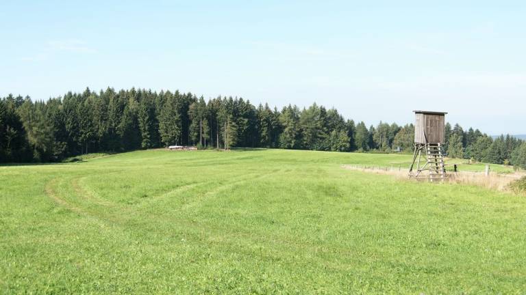 foto22