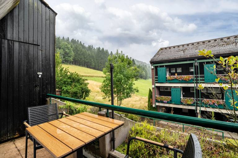 Fully equipped wonderful rental apartment with pool, fast internet & sauna | Pet-friendly in Seebach