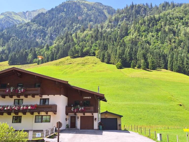 Appartement Mittersill