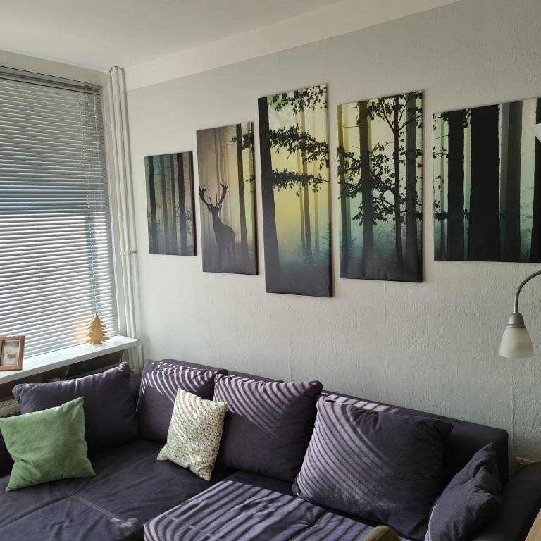 foto1