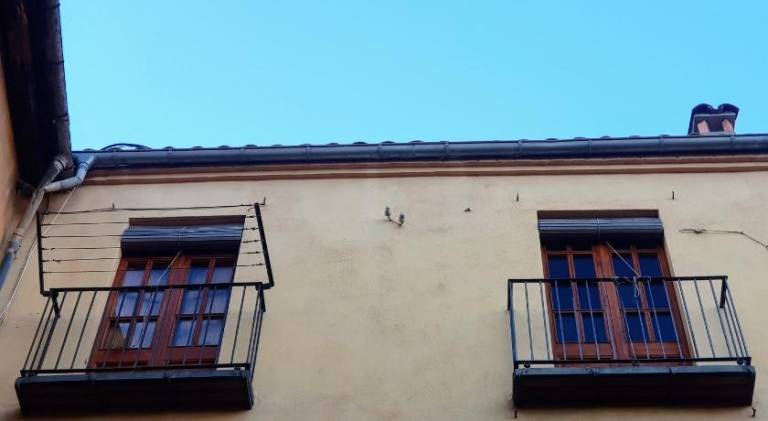 foto41
