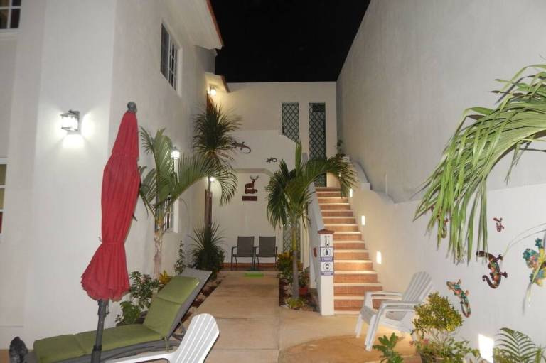 foto11