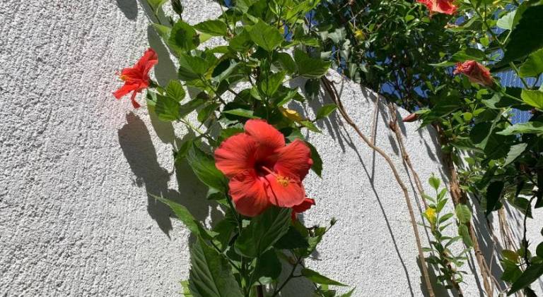 foto23