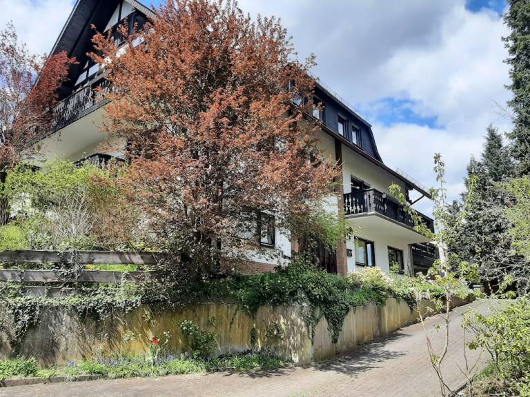Ferienwohnung  Hallenberg