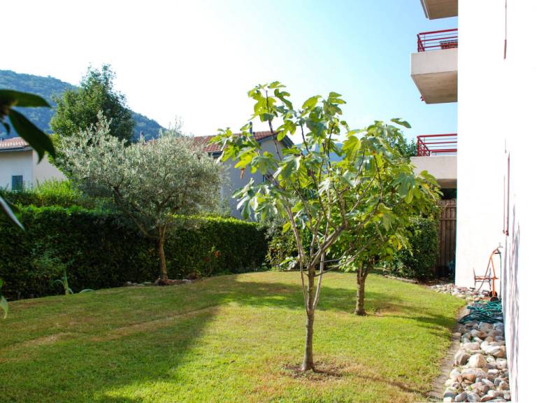 foto21