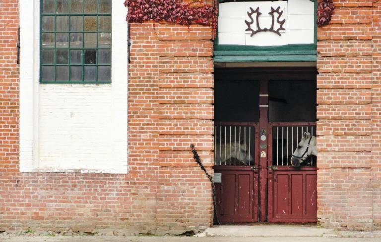 Ferienwohnung Karlsminde