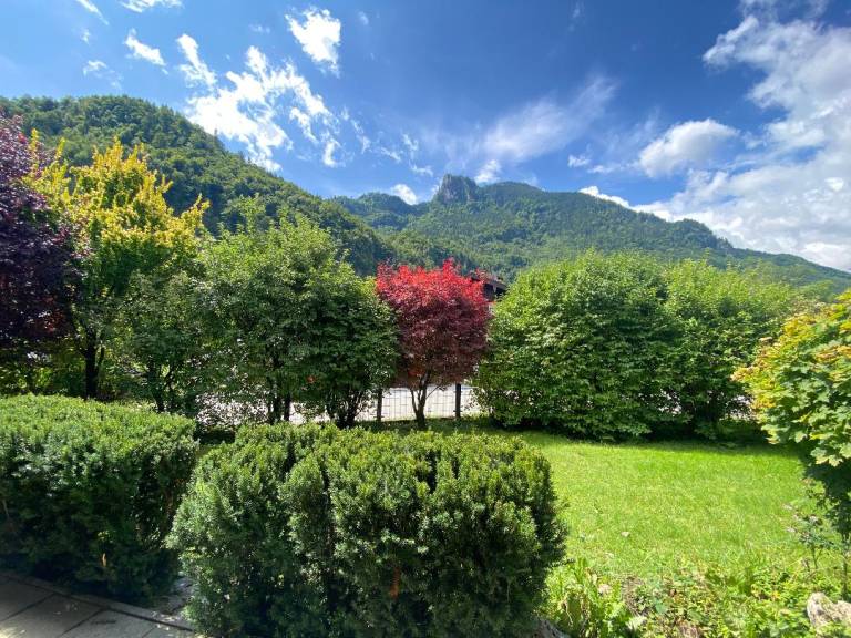 foto19