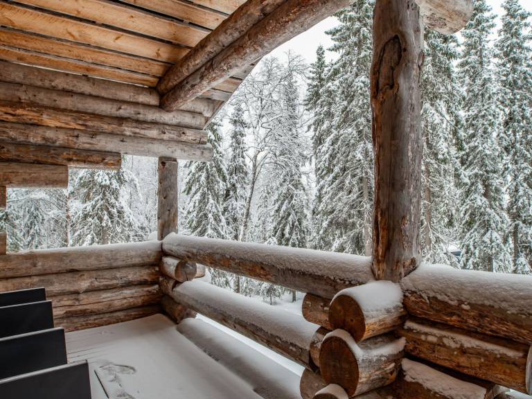 Vacation home with sauna — photo 3