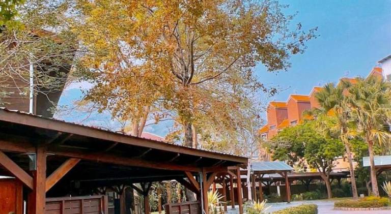 Shuili Lishan Village Forest Resort