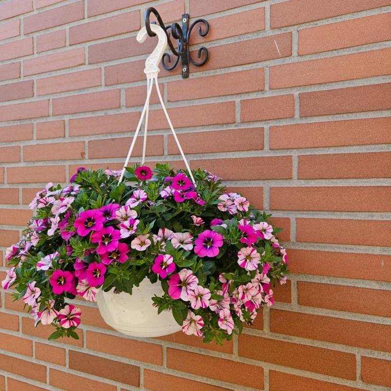 foto14