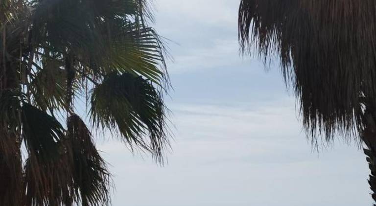 Holiday apartment | Close to the beach | Pet-friendly — photo 3