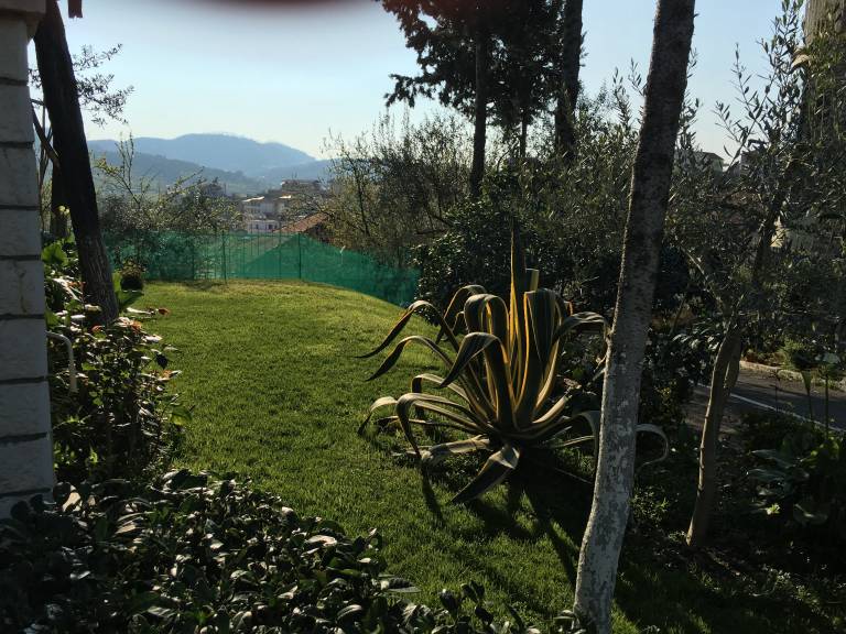 foto12