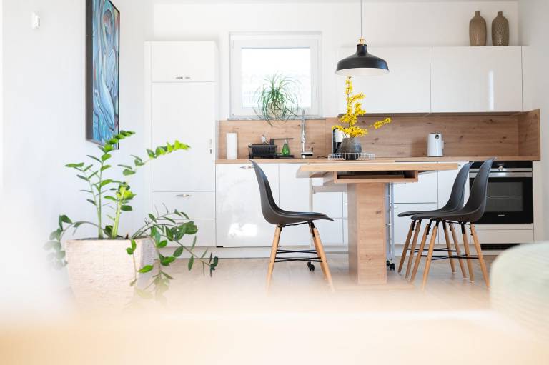 Appartement Fewo Dusche WC Terrasse