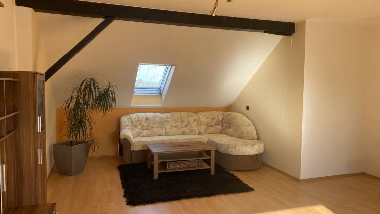Lovely rental apartment | Dogs allowed — photo 2