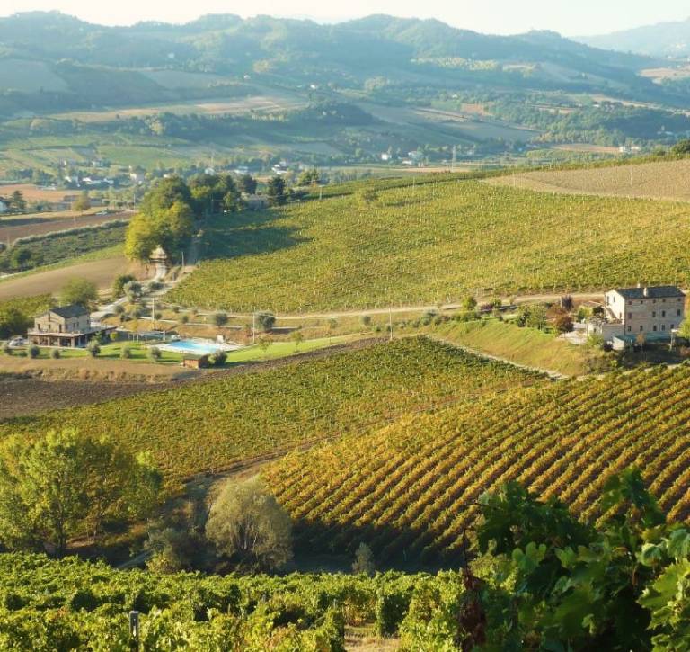 Agriturismo Montottone