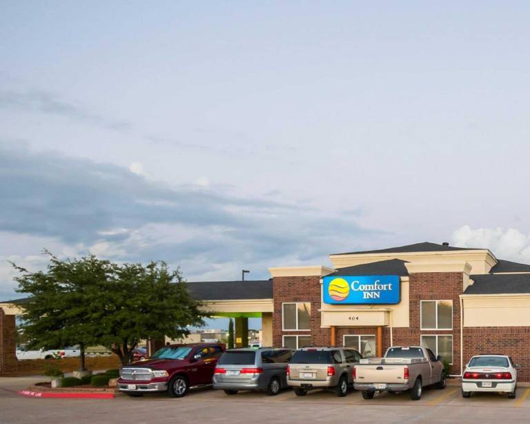 Comfort Inn & Suites Red Oak Dallas Area