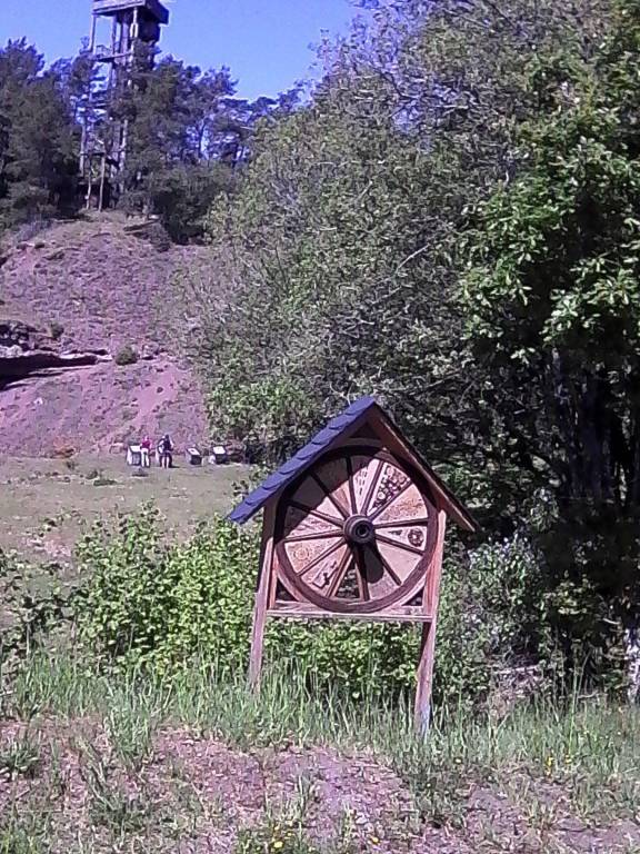 foto31