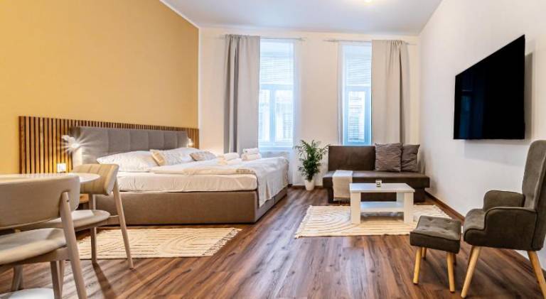 Design Apartments Luzanky — photo 2