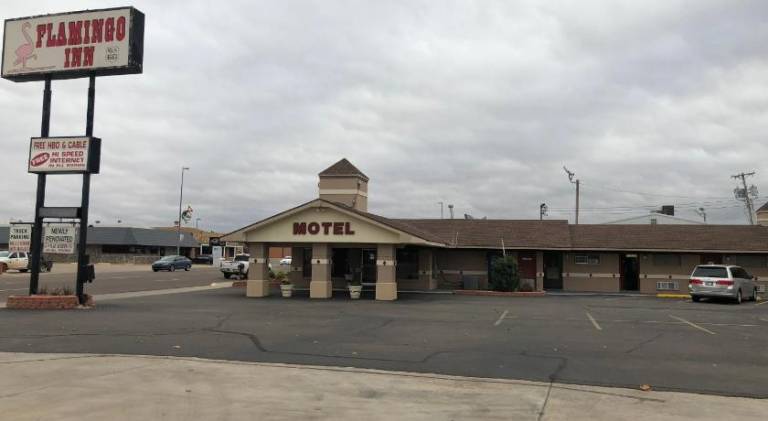 Flamingo Inn — photo 4