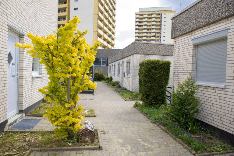 Holiday apartment with terrace, yard & barbeque in Braunlage