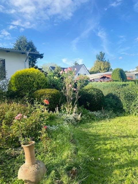 foto1