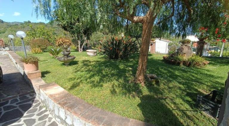 foto17