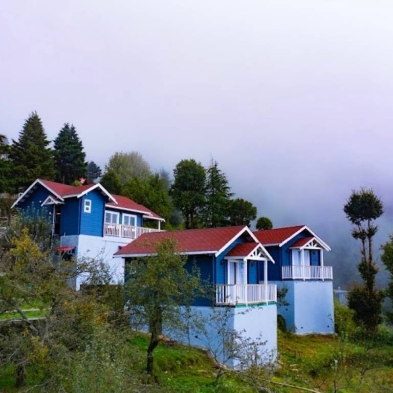 Cabin In The Woods Mukteshwar — photo 4