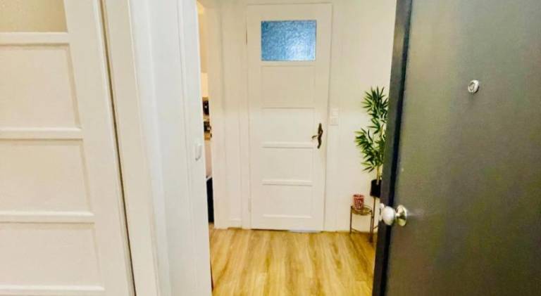 Lovely rental apartment | Dogs allowed — photo 2
