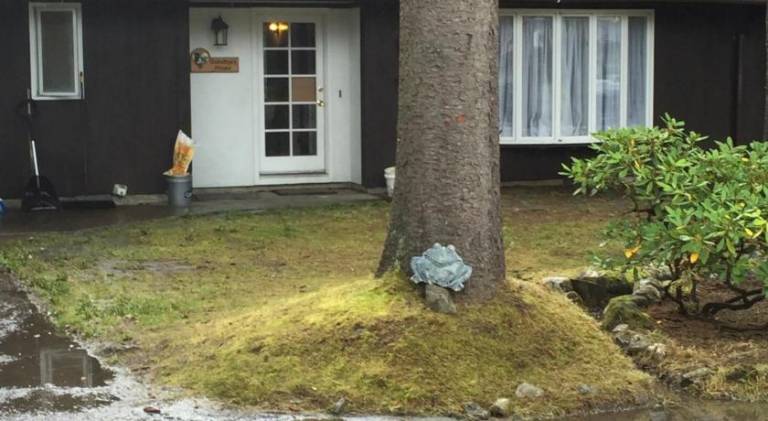 297 m&sup2; Ferienhaus