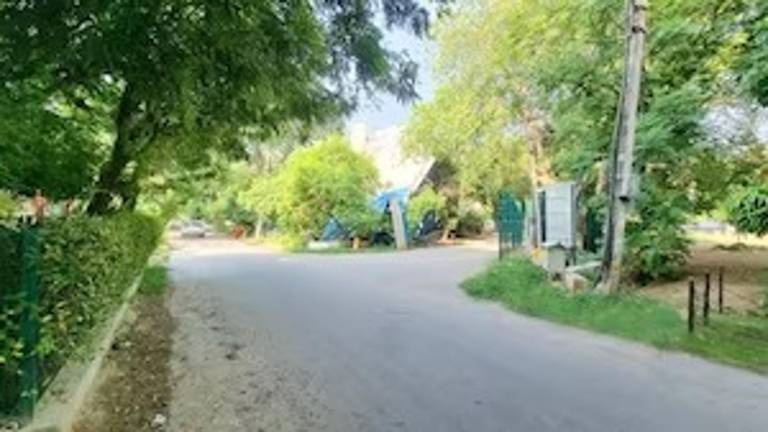 foto19