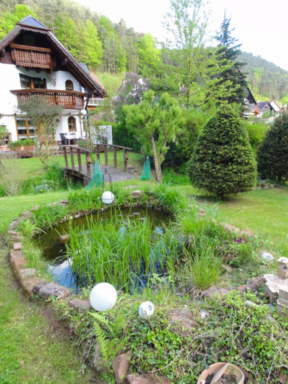 foto20