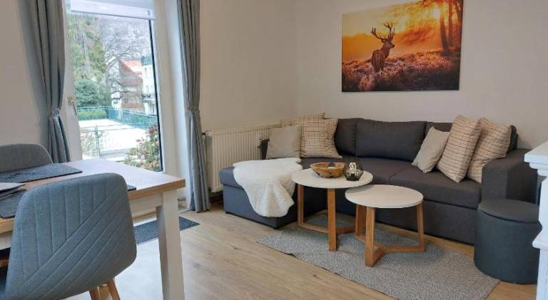 Pleasant apartment | Pets allowed in Bad Harzburg