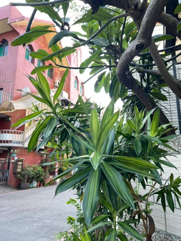 Vacation home with 1 room for 2 persons — photo 3