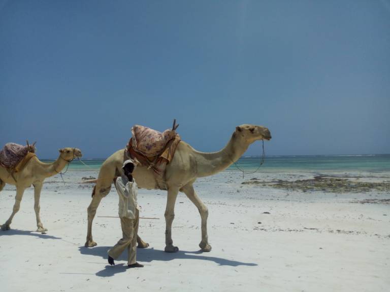Villa Diani Beach