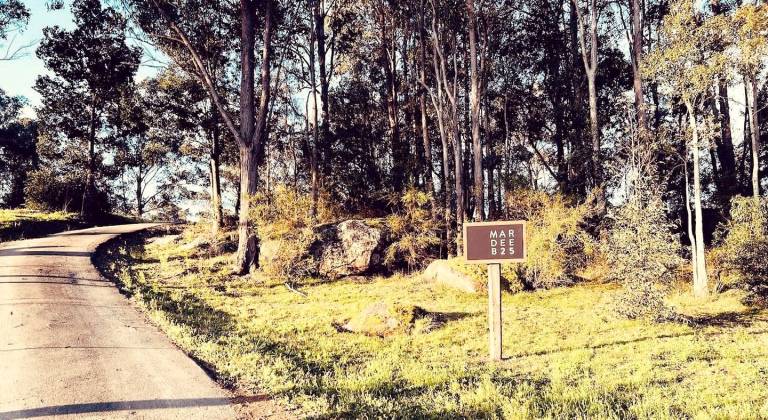 foto14