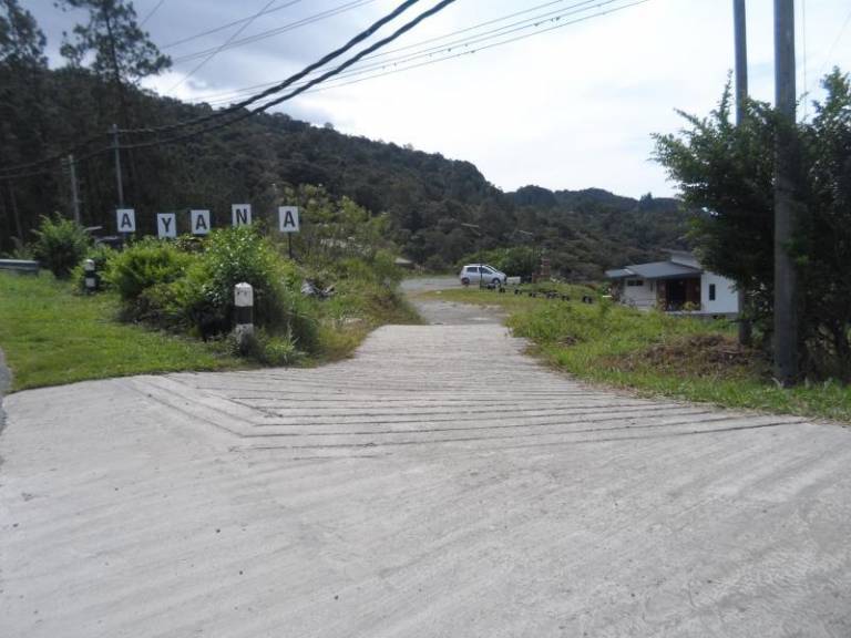 foto42