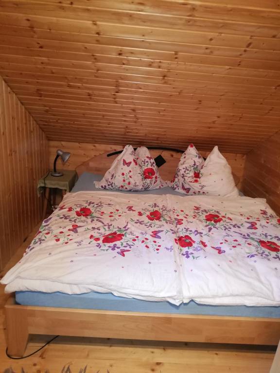foto15