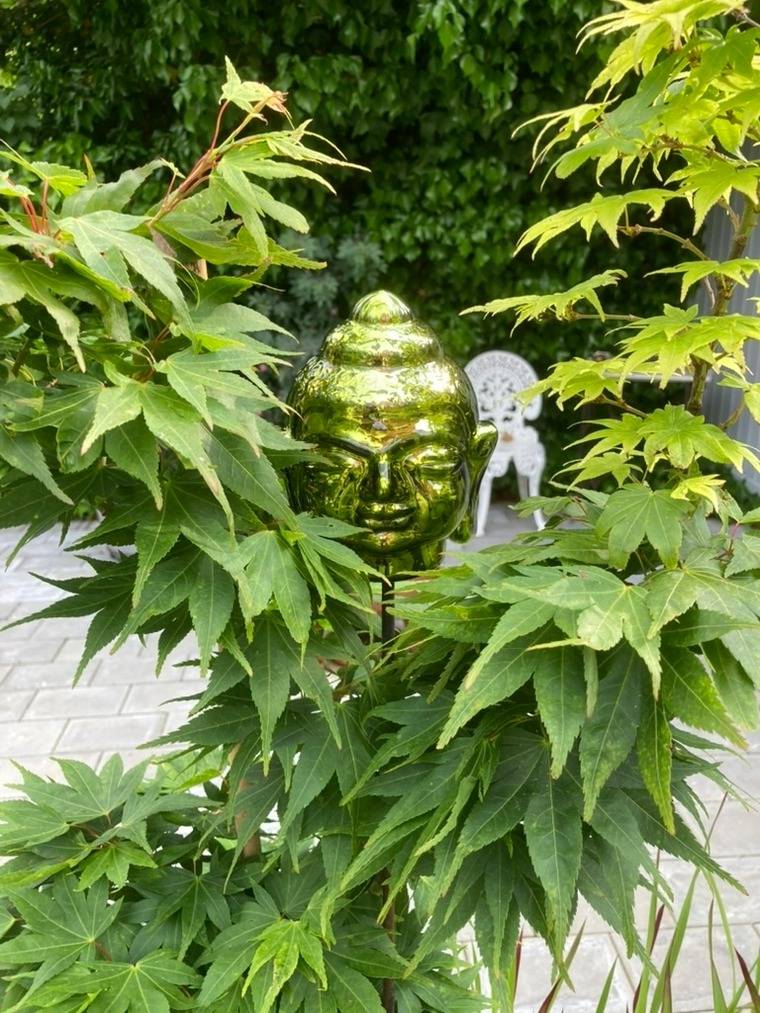 foto12