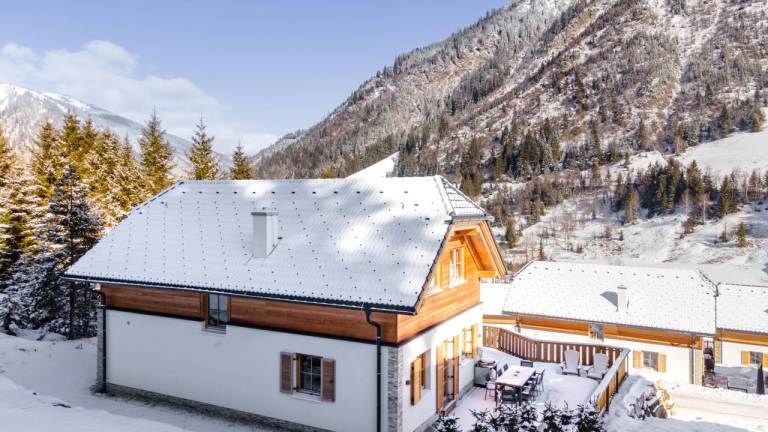 Ferienhaus  Planneralm