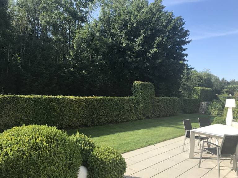 foto15
