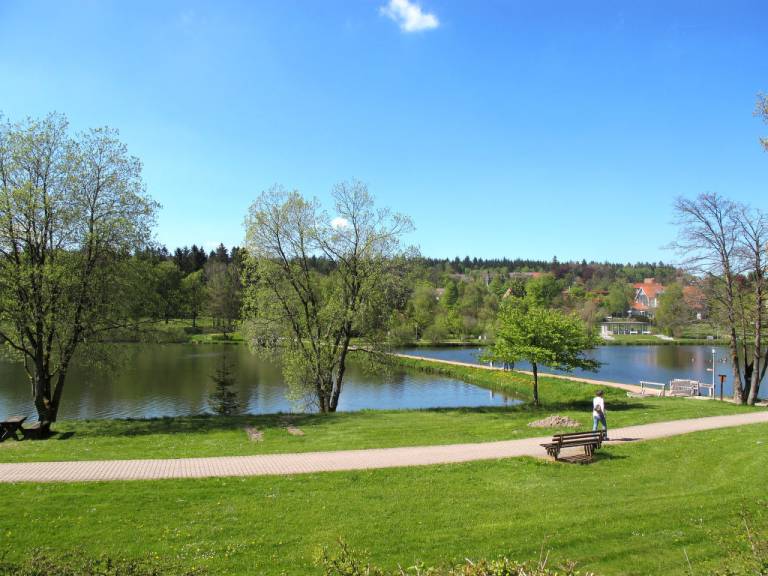 foto21