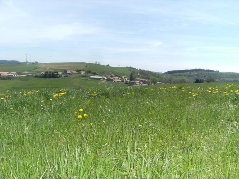 Au Col du Pin Bouchain — photo 2