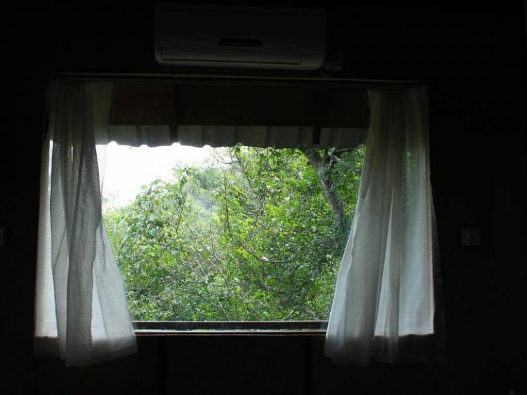 foto37