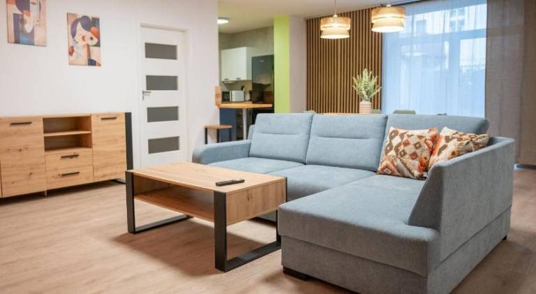 Ample rental apartment | Pets allowed in Jelenia Gora