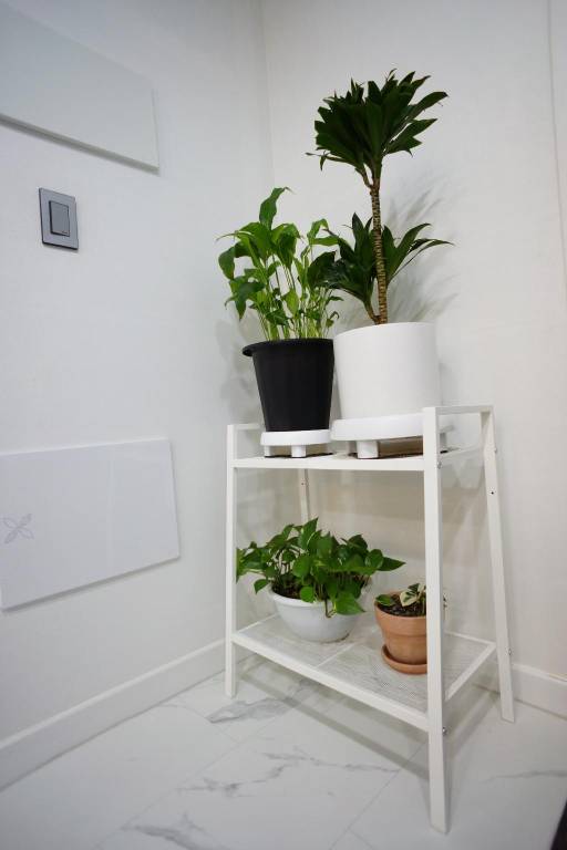 foto16