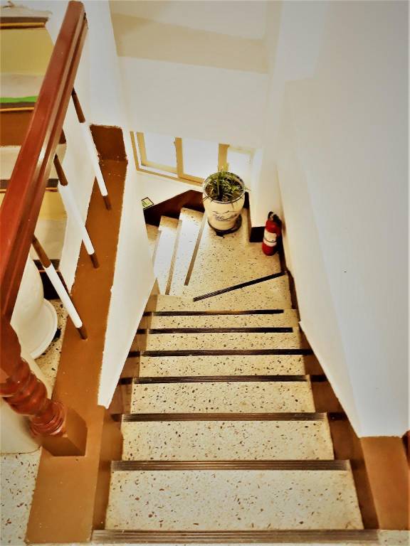 foto11