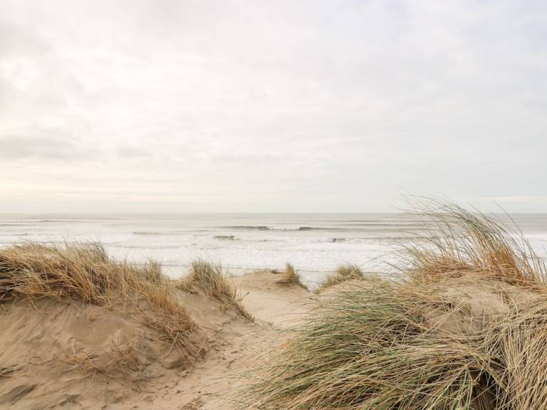 Cottage Borth