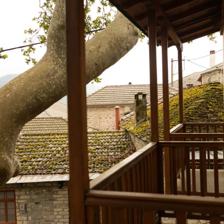 foto17